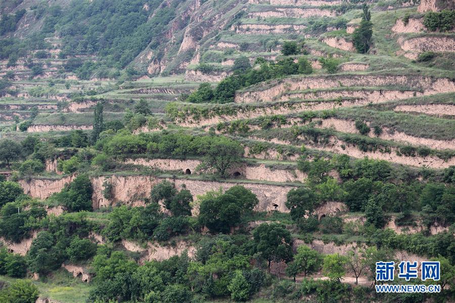 （決戰決勝脫貧攻堅&middot;圖文互動）（5）魚漁兼授 志智雙扶&mdash;&mdash;窮溝溝&ldquo;菜富記&rdquo;