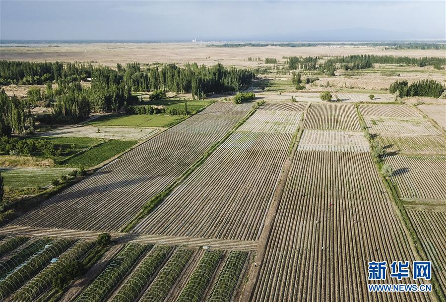 （圖文互動）（2）&ldquo;沙漠高地&rdquo;的美好家園