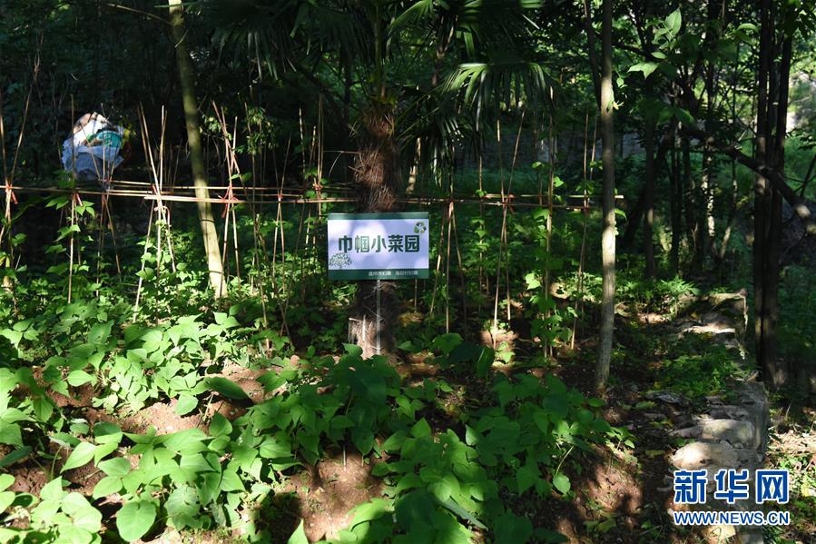 (鄉(xiāng)村振興·圖文互動(dòng))(5)海壩成“畫(huà)”