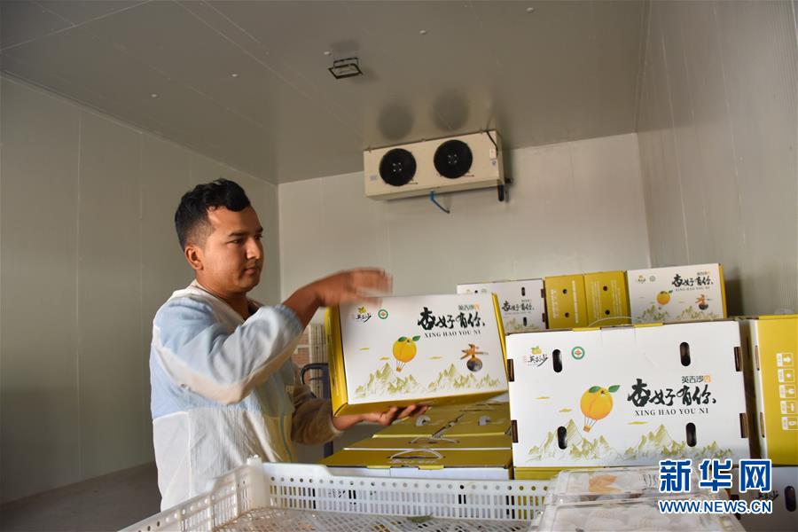 (決戰決勝脫貧攻堅·圖文互動)(6)新疆“杏鄉”:杏果飄香 走出深閨助脫貧