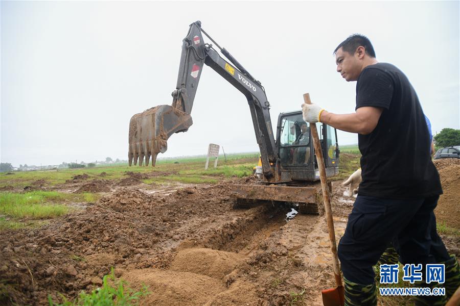 (防汛抗洪·圖文互動)(3)“險情不可怕,可怕的是不能及時發(fā)現(xiàn)險情”——洞庭湖巡堤查險現(xiàn)場直擊