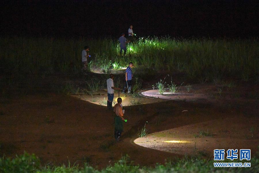 (防汛抗洪·圖文互動(dòng))(1)“三湖”超警汛情急 干群奮力保家園