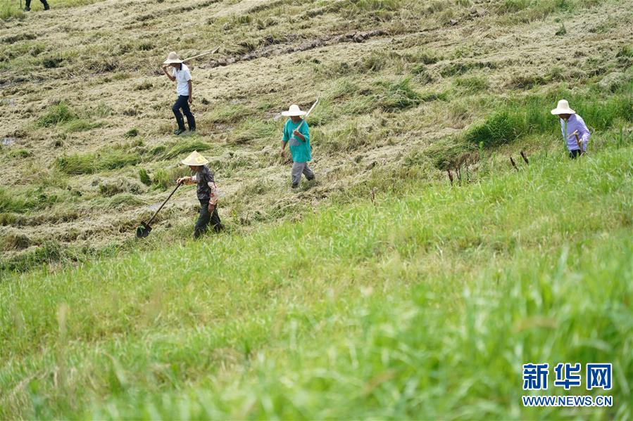 （防汛抗洪&middot;圖文互動）（4）特寫：康山大堤上的脫貧&ldquo;守堤人&rdquo;