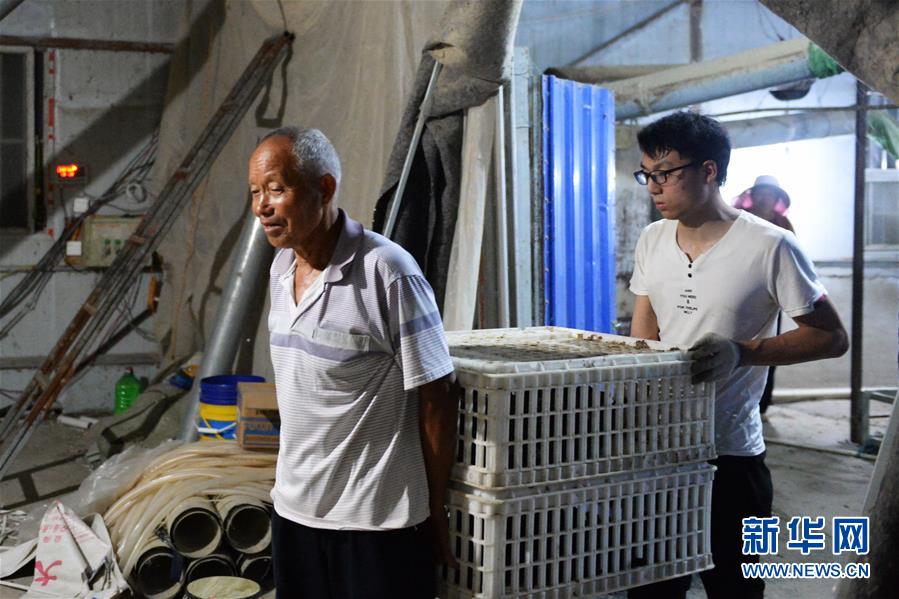 (防汛抗洪)(1)淮河蒙洼蓄洪區深夜轉移