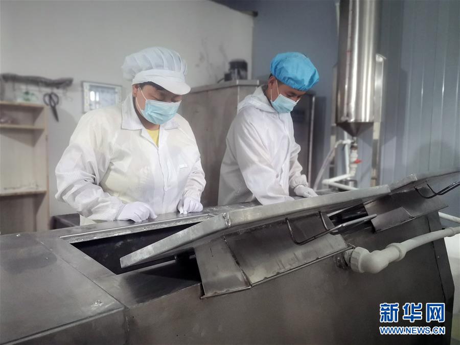 （中國網事&middot;感動2020&middot;圖文互動）（1）&ldquo;90后&rdquo;扶貧干部跨越千里當上&ldquo;掛面書記&rdquo;