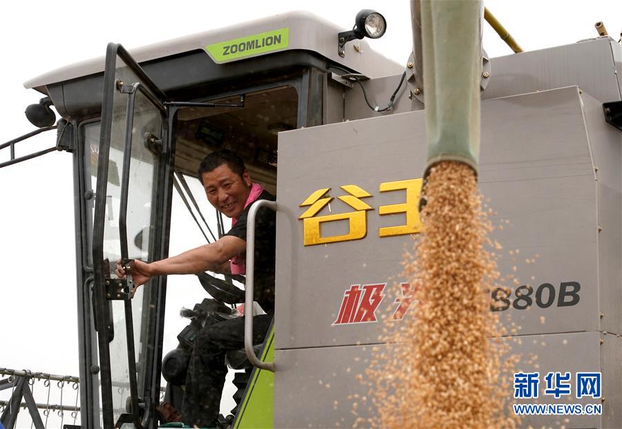 (在習近平新時代中國特色社會主義思想指引下——新時代新作為新篇章·習近平總書記關切事·圖文互動)(3)食為政首——穩住農業基本盤增添發展底氣