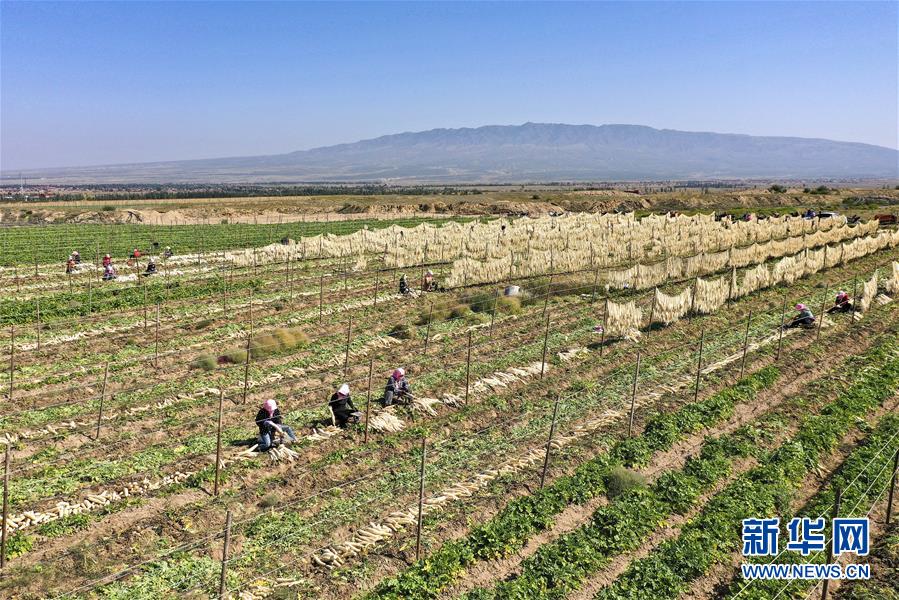 （新華全媒頭條&middot;走向我們的小康生活&middot;圖文互動）（8）23萬人的命運轉折&mdash;&mdash;我國最大易地生態移民安置區的脫貧密碼