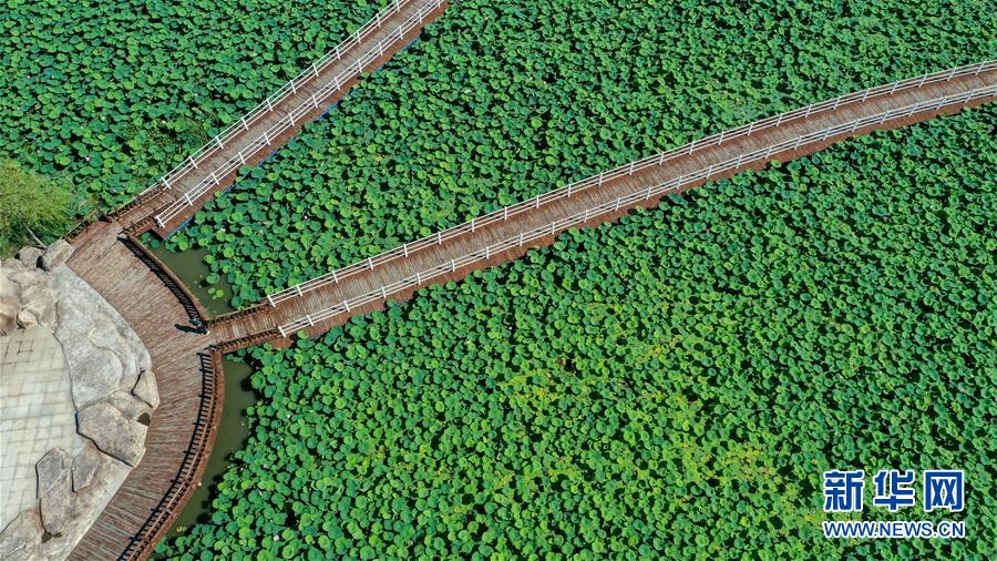 （在習近平新時代中國特色社會主義思想指引下&mdash;&mdash;新時代新作為新篇章&middot;習近平總書記關切事&middot;圖文互動）（9）綠色映底蘊，山水見初心&mdash;&mdash;生態優先、綠色發展持續造福群眾美好生活
