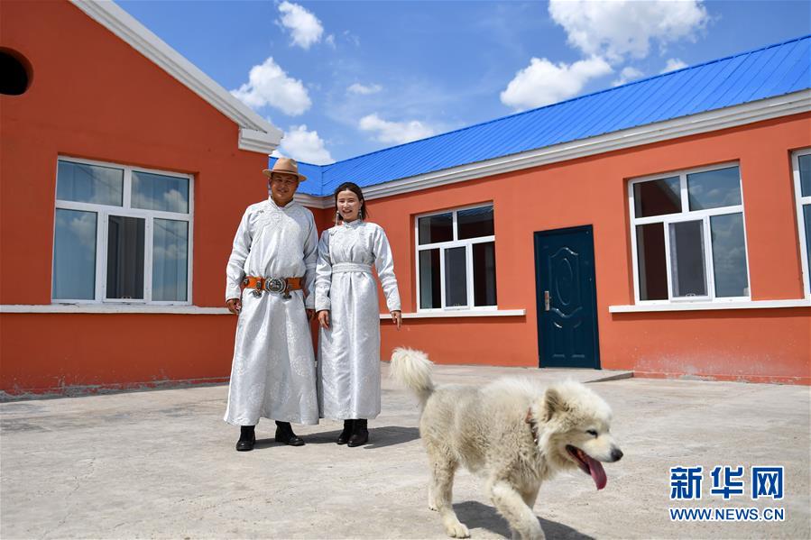 (走向我們的小康生活·圖文互動)(6)草原有了網,手機能放羊——看呼倫貝爾大草原牧民生活變了樣