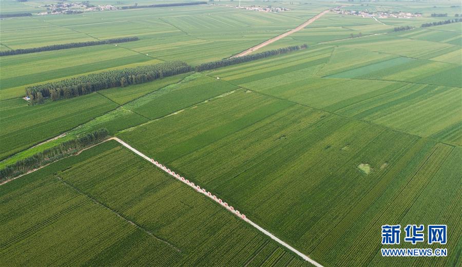 (在習近平新時代中國特色社會主義思想指引下——新時代新作為新篇章·習近平總書記關(guān)切事·圖文互動)(2)為黑土加“油”——“耕地中的大熊貓”,我們這樣保護