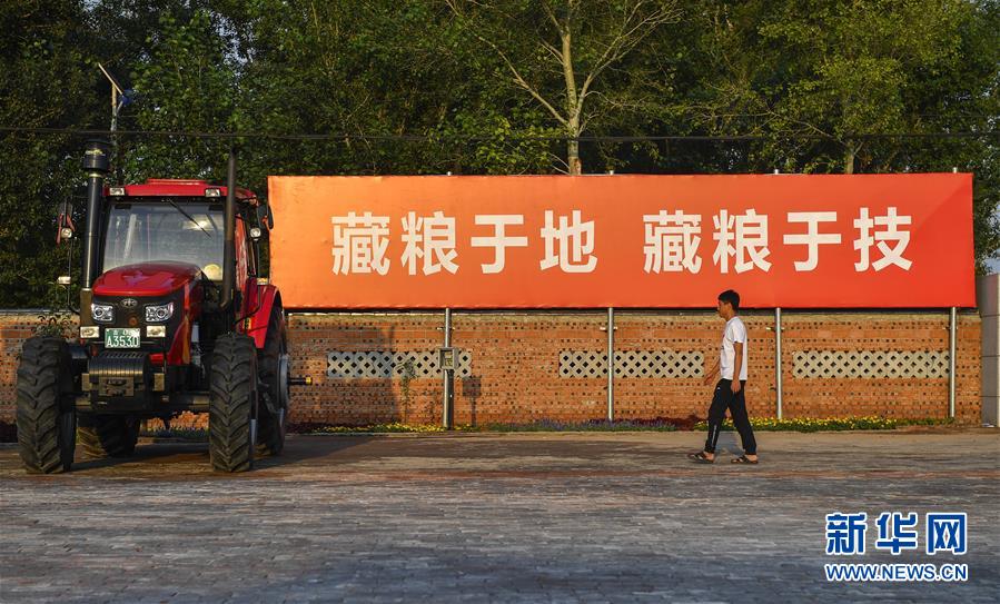 (在習近平新時代中國特色社會主義思想指引下——新時代新作為新篇章·習近平總書記關(guān)切事·圖文互動)(3)為黑土加“油”——“耕地中的大熊貓”,我們這樣保護