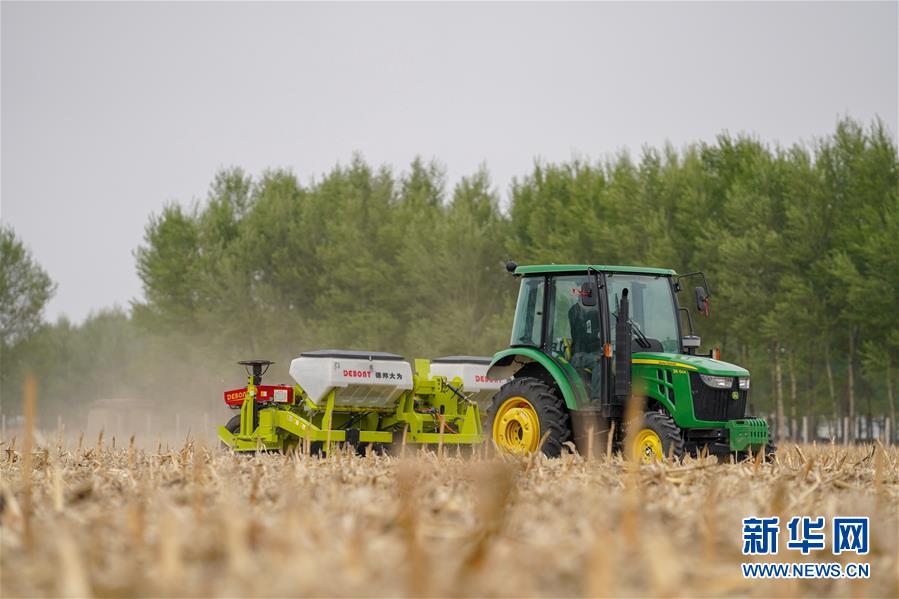 (在習近平新時代中國特色社會主義思想指引下——新時代新作為新篇章·習近平總書記關(guān)切事·圖文互動)(7)為黑土加“油”——“耕地中的大熊貓”,我們這樣保護