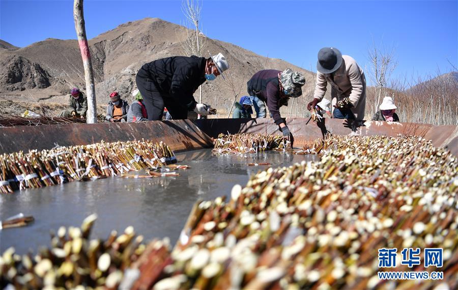 (圖文互動)(1)“最美第三極”:筑起生態文明高地