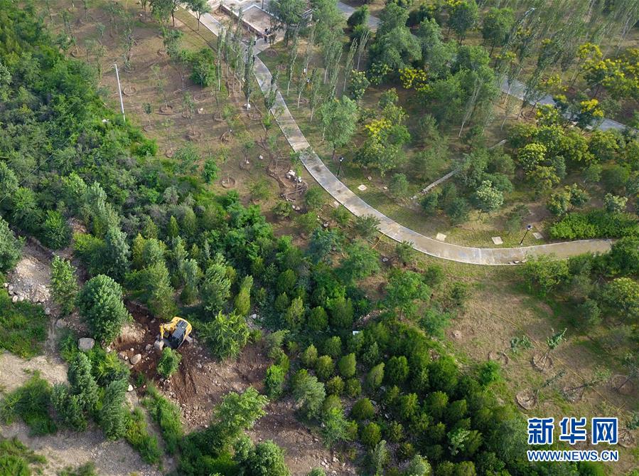 (新華全媒頭條·圖文互動)(15)扎實推進(jìn)籌辦,不負(fù)青春韶華——北京冬奧會籌辦備戰(zhàn)克服疫情影響平穩(wěn)推進(jìn)