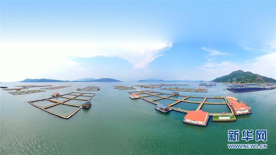 （新華全媒頭條&middot;走向我們的小康生活&middot;圖文互動）（3）弱鳥先飛今翱翔&mdash;&mdash;閩東寧德振興啟示錄