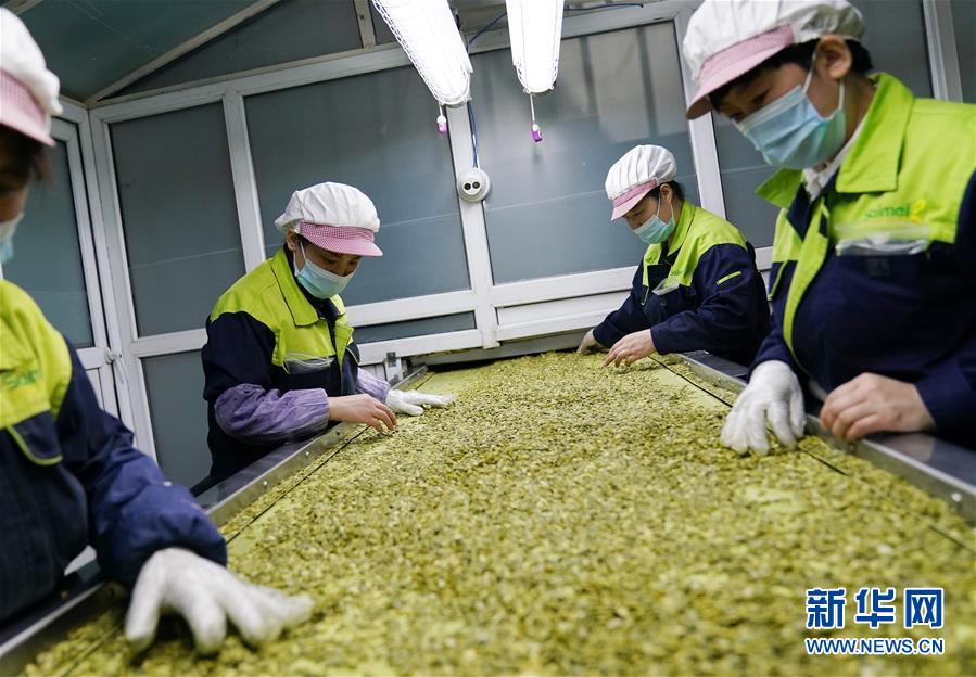 （在習(xí)近平新時代中國特色社會主義思想指引下&mdash;&mdash;新時代新作為新篇章&middot;習(xí)近平總書記關(guān)切事&middot;圖文互動）（5）激發(fā)每個經(jīng)濟&ldquo;細(xì)胞&rdquo;的活力&mdash;&mdash;千方百計把市場主體保護(hù)好