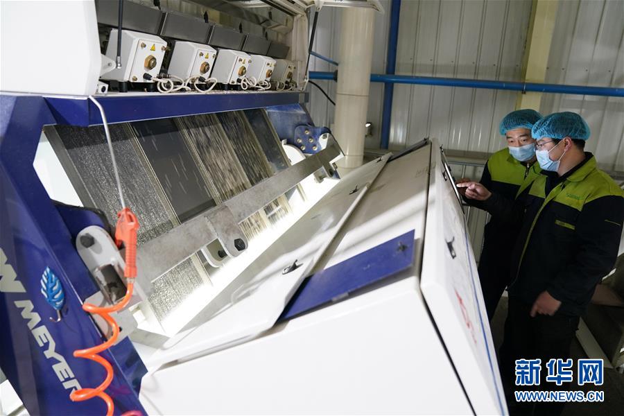 （在習(xí)近平新時代中國特色社會主義思想指引下&mdash;&mdash;新時代新作為新篇章&middot;習(xí)近平總書記關(guān)切事&middot;圖文互動）（6）激發(fā)每個經(jīng)濟&ldquo;細(xì)胞&rdquo;的活力&mdash;&mdash;千方百計把市場主體保護(hù)好