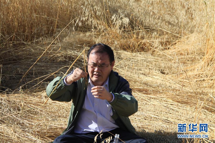 （新時代擔當作為典型&middot;圖文互動）（1）草地生態專家趙新全：情深不舍三江源