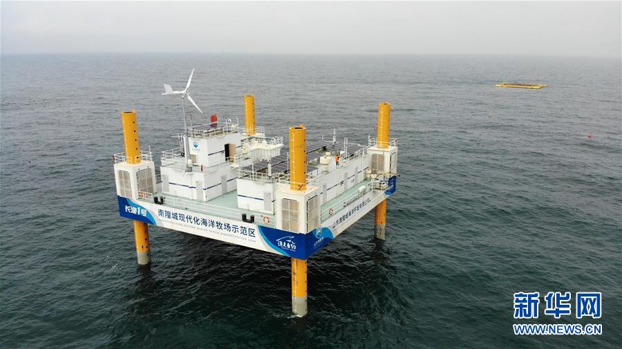 (新華全媒頭條·走向我們的小康生活·圖文互動)(5)幸福小康入畫來——齊魯大地描繪小康新畫卷