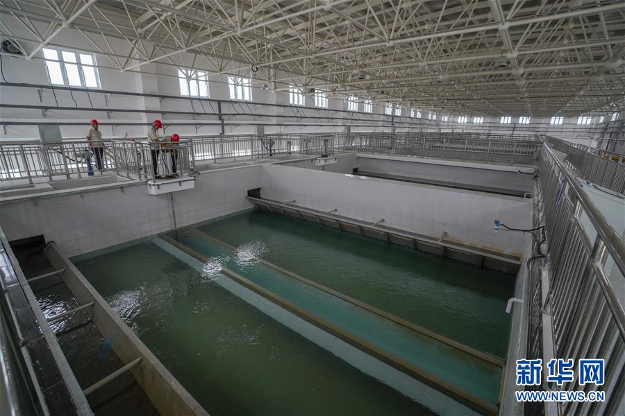 (決戰(zhàn)決勝脫貧攻堅(jiān)·圖文互動(dòng))(3)改水記