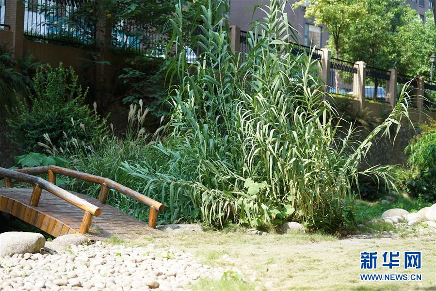 （圖文互動）（4）&ldquo;綠灰白&rdquo;破解城市內澇之&ldquo;囧&rdquo;