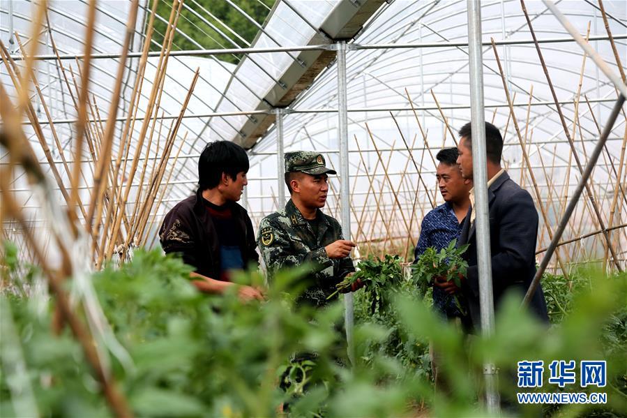 (圖文互動)(7)大涼山之子——記“最美新時代革命軍人”布哈