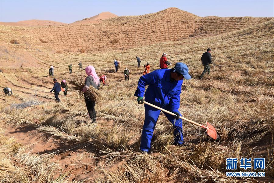 (新華全媒頭條·走向我們的小康生活·圖文互動)(6)“苦甲”不再,“甘味”綿長——脫貧攻堅的甘肅味道