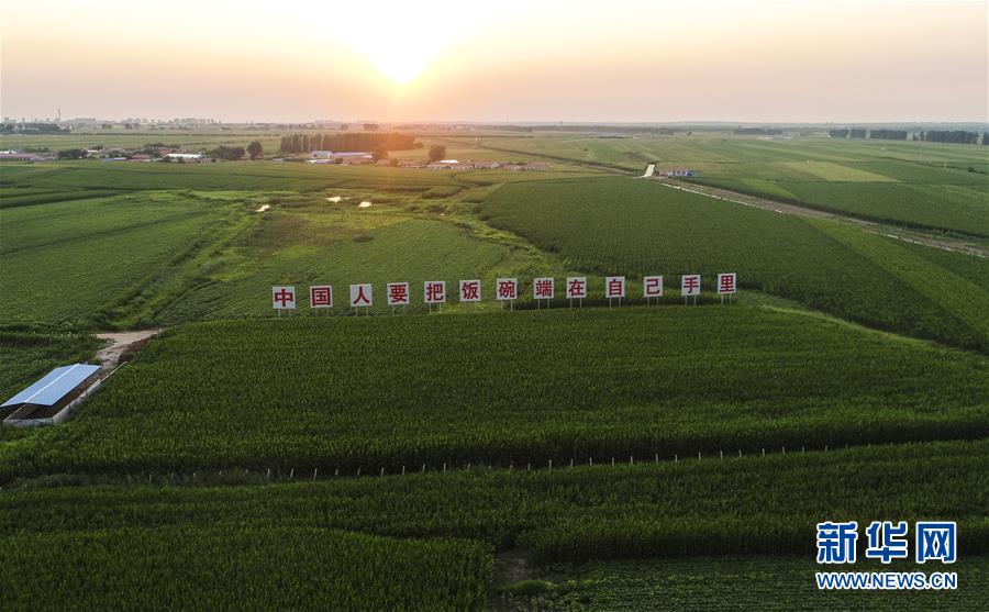 （新華全媒頭條&middot;圖文互動）（6）為現代農業探新路&mdash;&mdash;來自吉林梨樹的田野報告