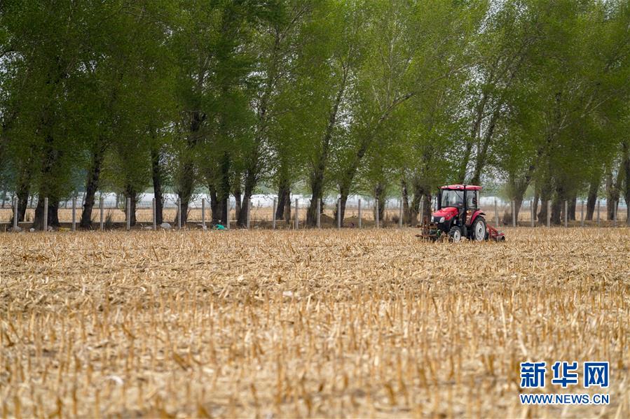 （新華全媒頭條&middot;圖文互動）（9）為現代農業探新路&mdash;&mdash;來自吉林梨樹的田野報告