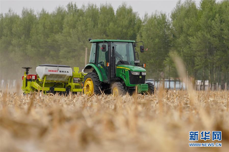 （新華全媒頭條&middot;圖文互動）（10）為現代農業探新路&mdash;&mdash;來自吉林梨樹的田野報告