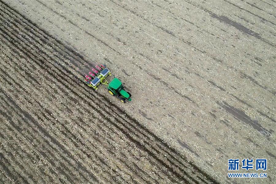 （新華全媒頭條&middot;圖文互動）（11）為現代農業探新路&mdash;&mdash;來自吉林梨樹的田野報告