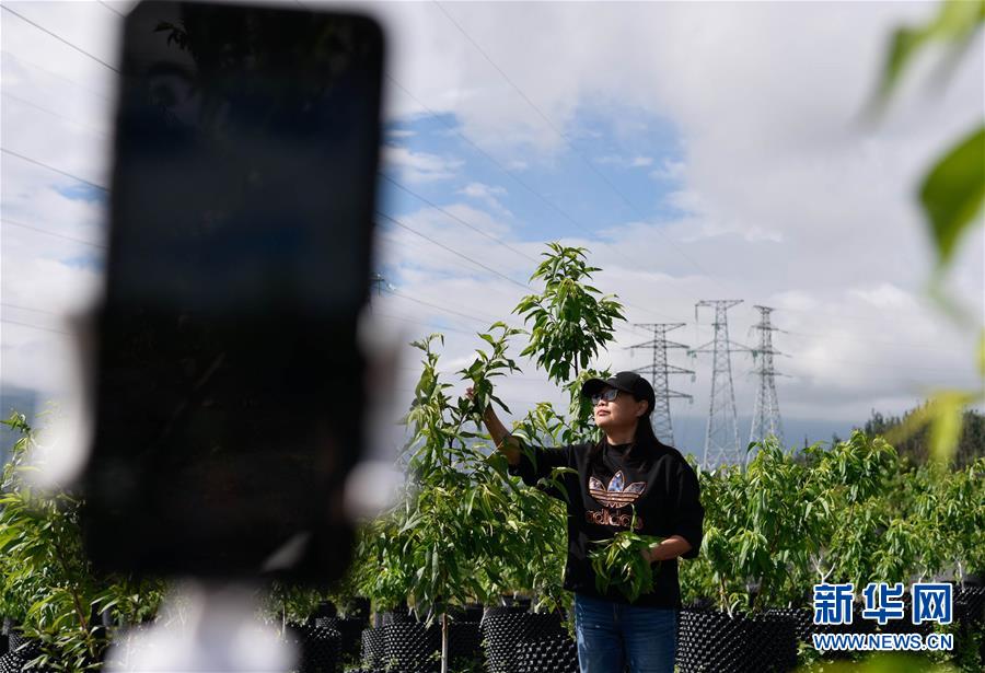 （決戰決勝脫貧攻堅&middot;督戰未摘帽貧困縣&middot;圖文互動）（4）12000多個&ldquo;火種&rdquo;點亮大涼山