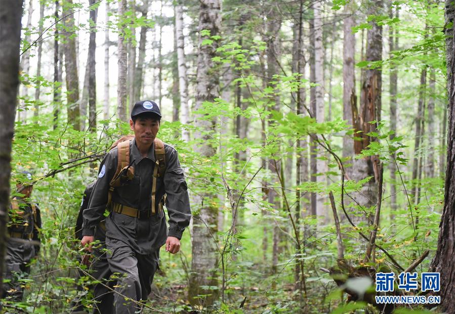 （圖文互動）（1）長白山60年書寫&ldquo;生態答卷&rdquo;