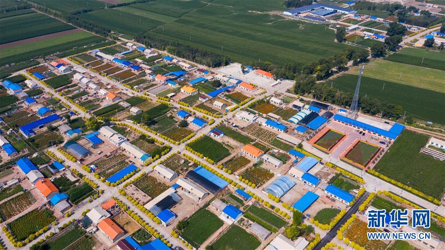 (新華全媒頭條·走向我們的小康生活·圖文互動)(1)黑土地上是我家——在吉林,一瞥中國東北鄉村美麗未來