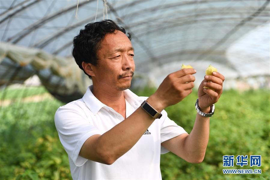 (新華全媒頭條·走向我們的小康生活·圖文互動)(7)黑土地上是我家——在吉林,一瞥中國東北鄉村美麗未來