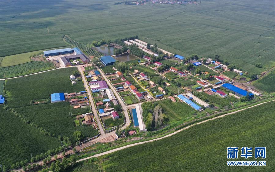 (新華全媒頭條·走向我們的小康生活·圖文互動)(12)黑土地上是我家——在吉林,一瞥中國東北鄉村美麗未來