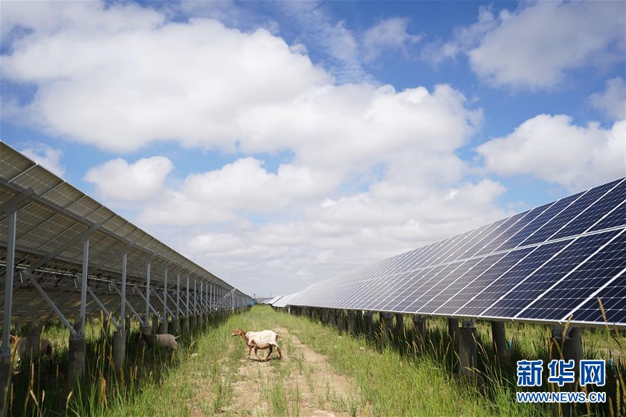 (新華全媒頭條·走向我們的小康生活·決戰(zhàn)決勝脫貧攻堅(jiān)·圖文互動(dòng))(2)高原上綻放的光芒——來自青海攻克深度貧困堡壘的故事