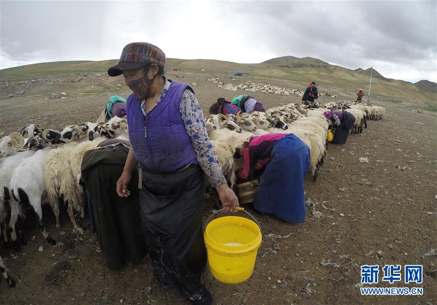 （新華全媒頭條&middot;走向我們的小康生活&middot;決戰(zhàn)決勝脫貧攻堅(jiān)&middot;圖文互動）（2）兩次遷徙&ldquo;搬窮&rdquo;記&mdash;&mdash;海拔最高縣雙湖的&ldquo;戰(zhàn)貧故事&rdquo;