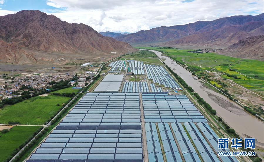 （走向我們的小康生活&middot;決戰決勝脫貧攻堅&middot;圖文互動）（2）高原喜見&ldquo;壽光綠&rdquo;&mdash;&mdash;&ldquo;世界屋脊&rdquo;上的蔬菜發展奇跡