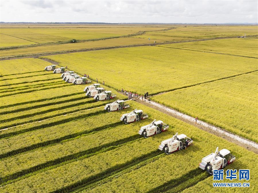 （新華全媒頭條&middot;圖文互動）（15）奮斗結碩果，再寫新篇章&mdash;&mdash;寫在共和國71周年華誕之際