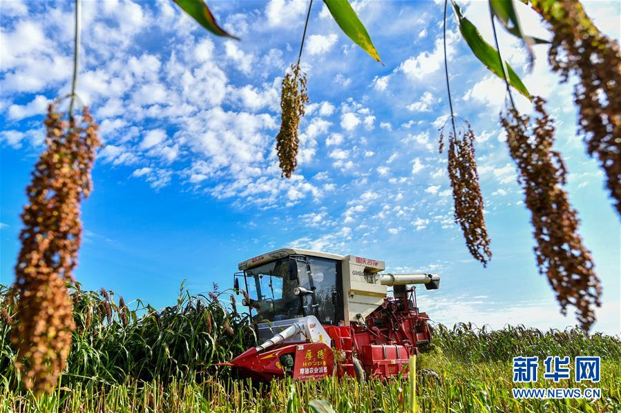 （新華全媒頭條&middot;圖文互動）（17）奮斗結碩果，再寫新篇章&mdash;&mdash;寫在共和國71周年華誕之際