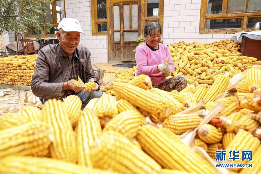 （全面建成小康社會(huì)&ldquo;百城千縣萬村調(diào)研行&rdquo;&middot;圖文互動(dòng)）（4）寧夏華寺村：做活&ldquo;土&rdquo;文章 村民享小康