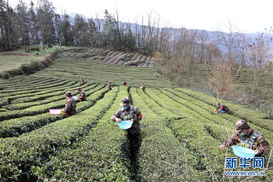 （圖文互動(dòng)）（2）百舸爭流千帆競(jìng)&mdash;&mdash;&ldquo;十三五&rdquo;期間國防動(dòng)員事業(yè)取得歷史性突破