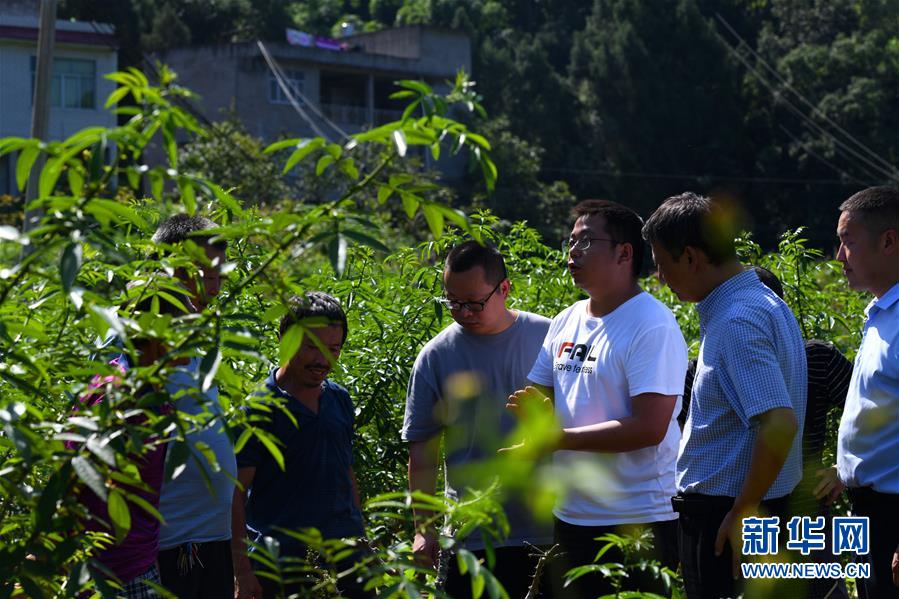 (決戰(zhàn)決勝脫貧攻堅(jiān)·圖文互動(dòng))(3)“堵槍眼”的脫貧戰(zhàn)怎么打?——繼光村見聞