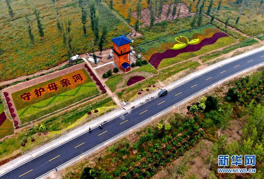 (新華全媒頭條·圖文互動)(6)從“四亂”突出到生態修復 黃河漸成中原“綠飄帶”
