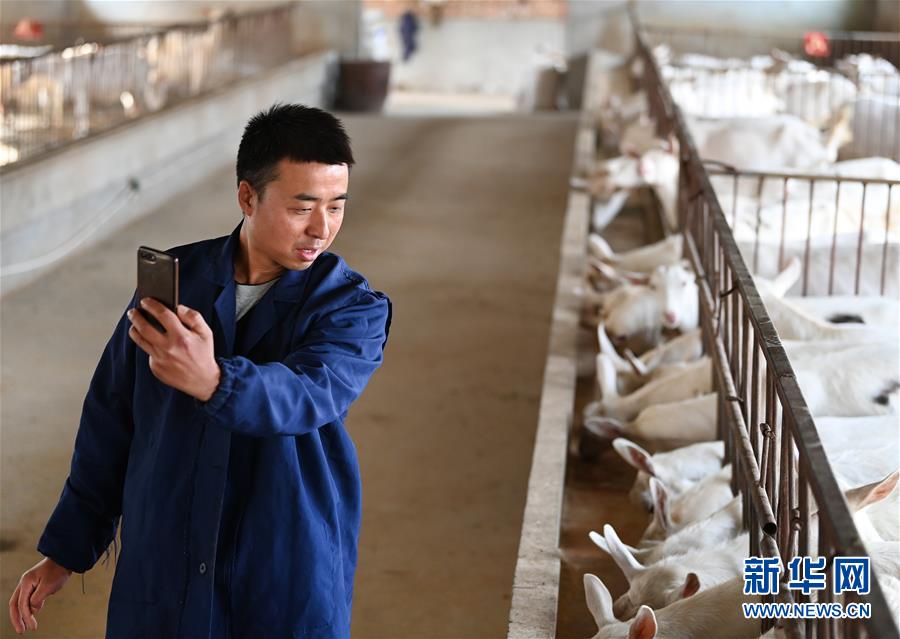 (新華全媒頭條·五中全會精神在基層·圖文互動)(12)奮發新青年 逐夢新征程——各地青年學習貫徹落實五中全會精神觀察