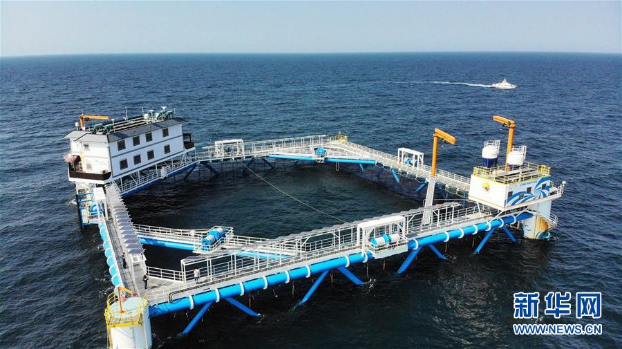 （新華全媒頭條&middot;圖文互動）（1）&ldquo;拔&rdquo;海起牧場 &ldquo;耕&rdquo;海新牧歌