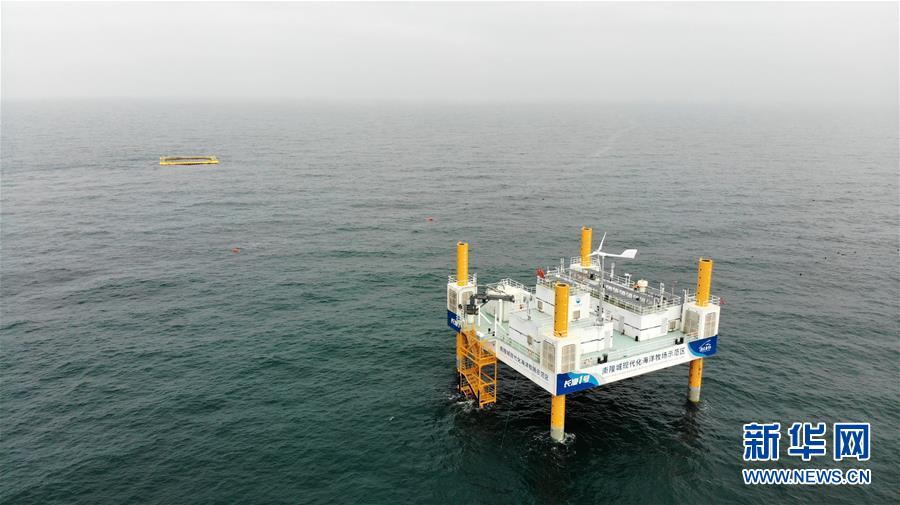 （新華全媒頭條&middot;圖文互動）（10）&ldquo;拔&rdquo;海起牧場 &ldquo;耕&rdquo;海新牧歌