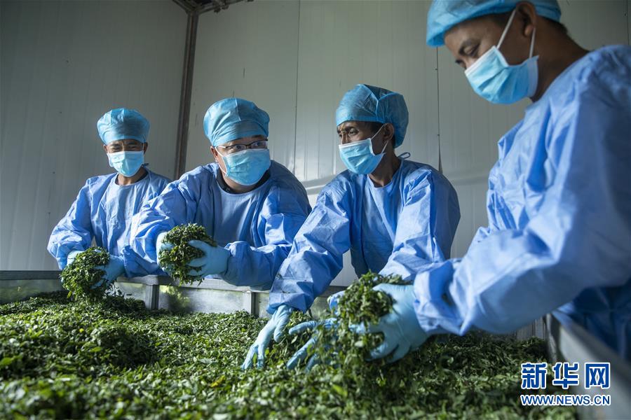 （鄉村振興&middot;圖文互動）（2）涼山深處有&ldquo;黃金&rdquo;