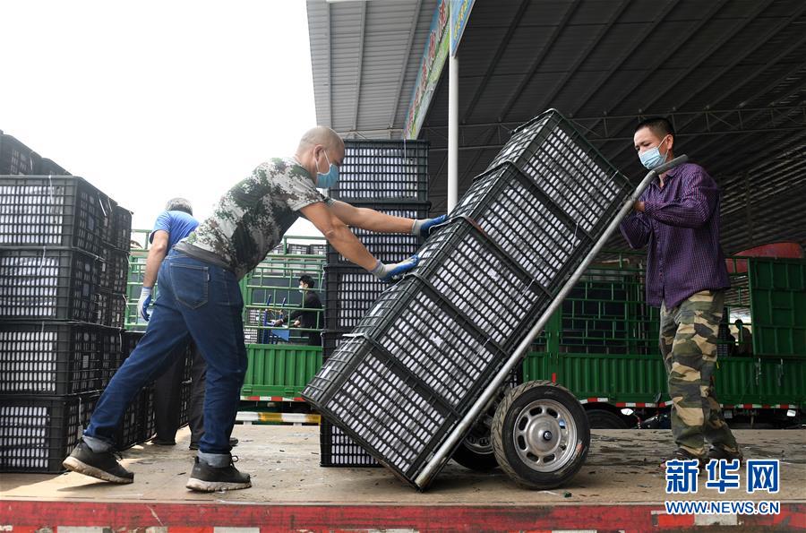 （新華全媒頭條&middot;圖文互動）（10）暢通雙循環 共享大市場&mdash;&mdash;從東博會看中國新發展格局